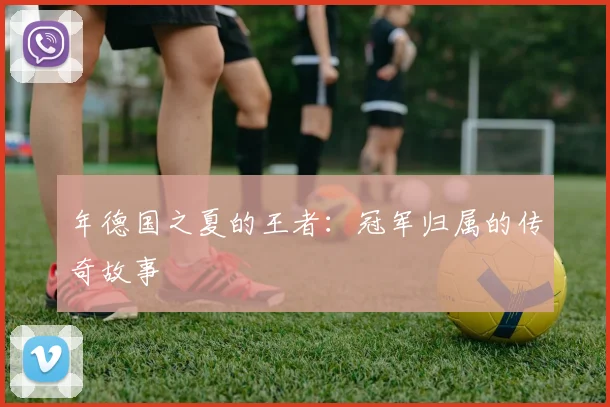 年德国之夏的王者:冠军归属的传奇故事
