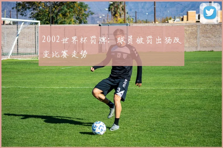 2002世界杯罚牌:球员被罚出场改变比赛走势
