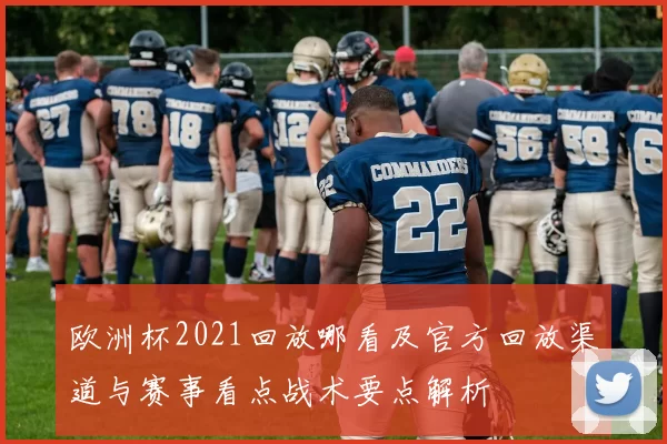 欧洲杯2021回放哪看及官方回放渠道与赛事看点战术要点解析