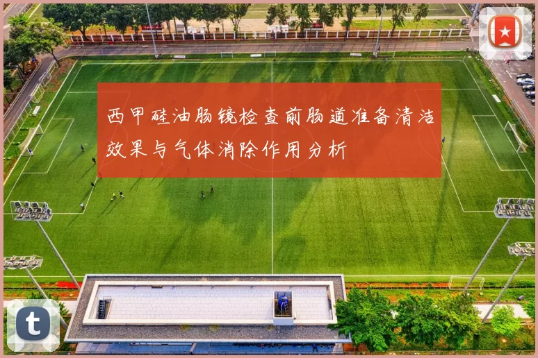 西甲硅油肠镜检查前肠道准备清洁效果与气体消除作用分析