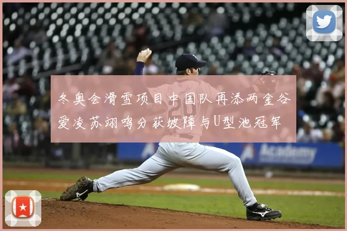 冬奥会滑雪项目中国队再添两金谷爱凌苏翊鸣分获坡障与U型池冠军